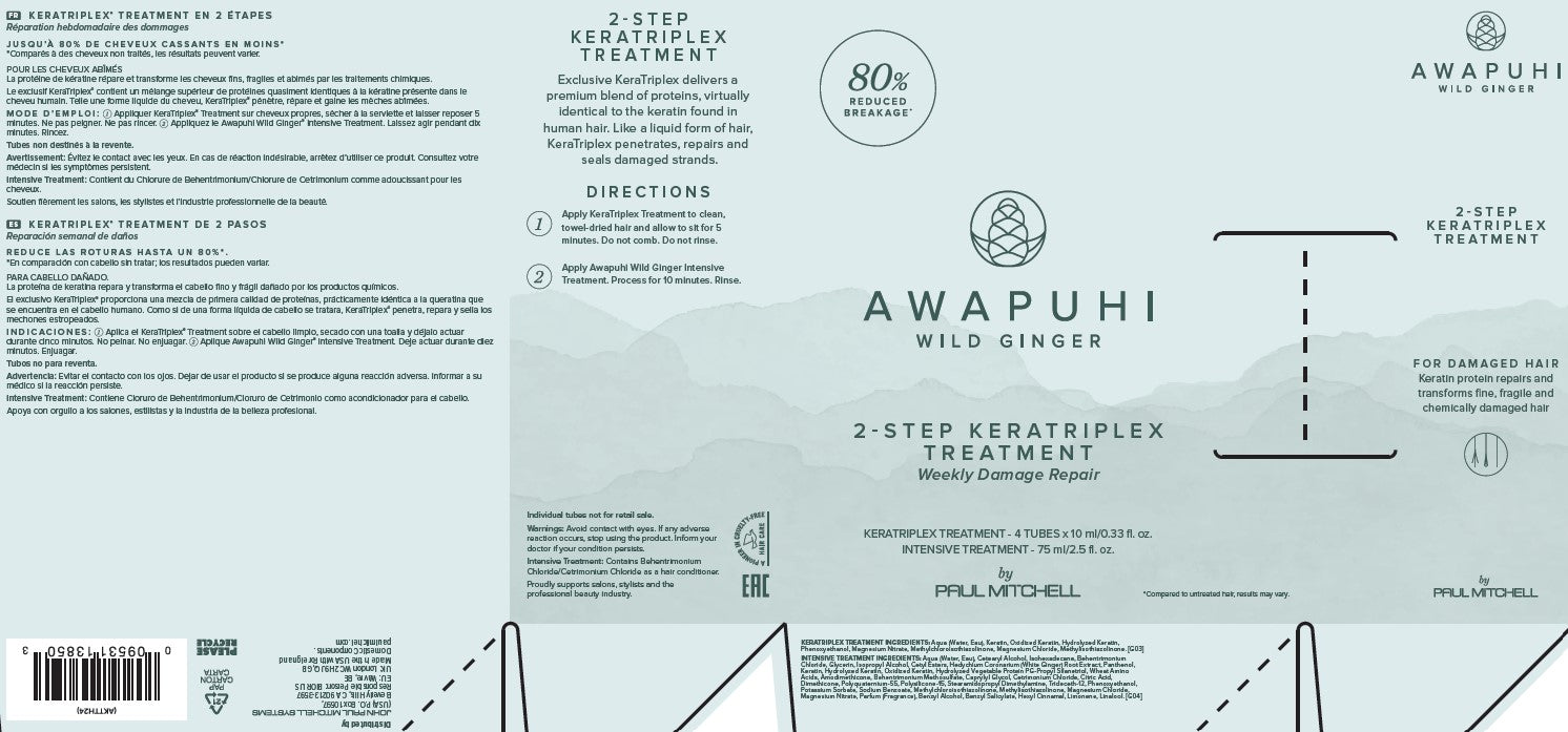 KERATRIPLEX® TREATMENT - Box of 4