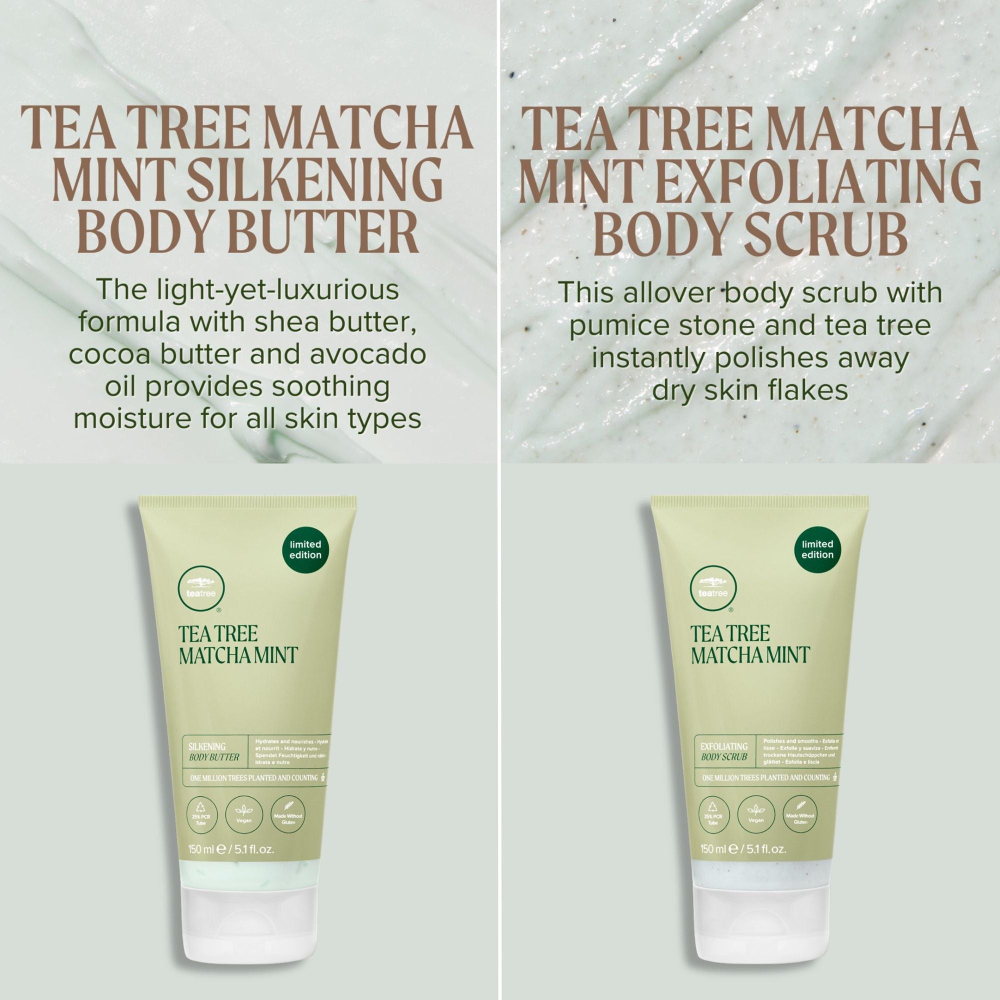 MATCHA MINT DUO - Limited Edition - size